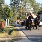 zdjęcie nr 80