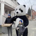 zdjęcie nr 14