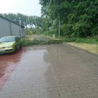 zdjęcie nr 8