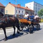 zdjęcie nr 119