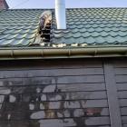 zdjęcie nr 7