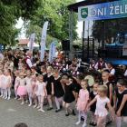 zdjęcie nr 180
