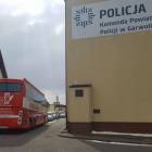 zdjęcie nr 13