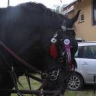 zdjęcie nr 75
