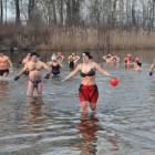 zdjęcie nr 26