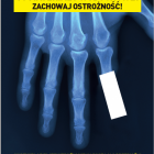 Fotka nr 5 z 7