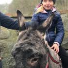 zdjęcie nr 9