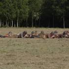 zdjęcie nr 59