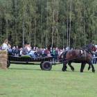 zdjęcie nr 121