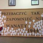 Fotka nr 5 z 60