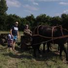zdjęcie nr 50