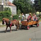 zdjęcie nr 94
