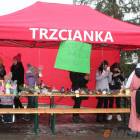 zdjęcie nr 90
