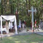zdjęcie nr 95