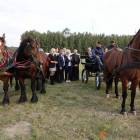 zdjęcie nr 97