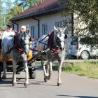 zdjęcie nr 99