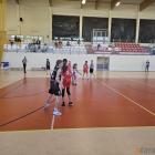 Fotka nr 4 z 10