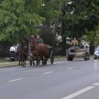 zdjęcie nr 99