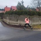 Fotka nr 4 z 96