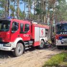 Fotka nr 2 z 11