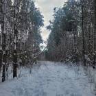zdjęcie nr 35