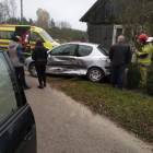Fotka nr 2 z 4