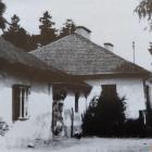 Fotka nr 3 z 12