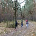 zdjęcie nr 97
