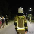 zdjęcie nr 13