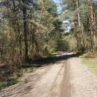 zdjęcie nr 22