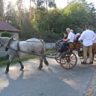zdjęcie nr 75