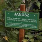 zdjęcie nr 159