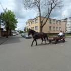 zdjęcie nr 13