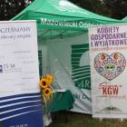 zdjęcie nr 153