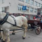 zdjęcie nr 103