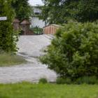 zdjęcie nr 26