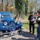 zdjęcie nr 53
