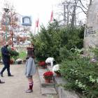 zdjęcie nr 30