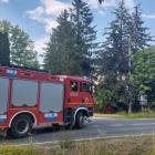 Fotka nr 4 z 11