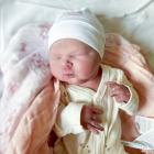   Kornelia  urodziła się 15 listopada 2025 r. o godz. 7:25. Ważyła 2720 g i mierzyła 50...