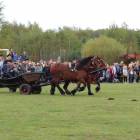 zdjęcie nr 113