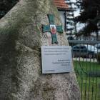 zdjęcie nr 20