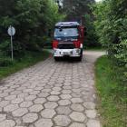 zdjęcie nr 8