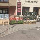 zdjęcie nr 10
