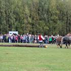 zdjęcie nr 94
