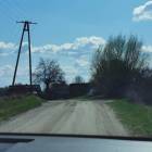 zdjęcie nr 31