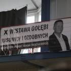zdjęcie nr 97