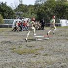 Fotka nr 3 z 18