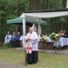 zdjęcie nr 26