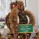 zdjęcie nr 80